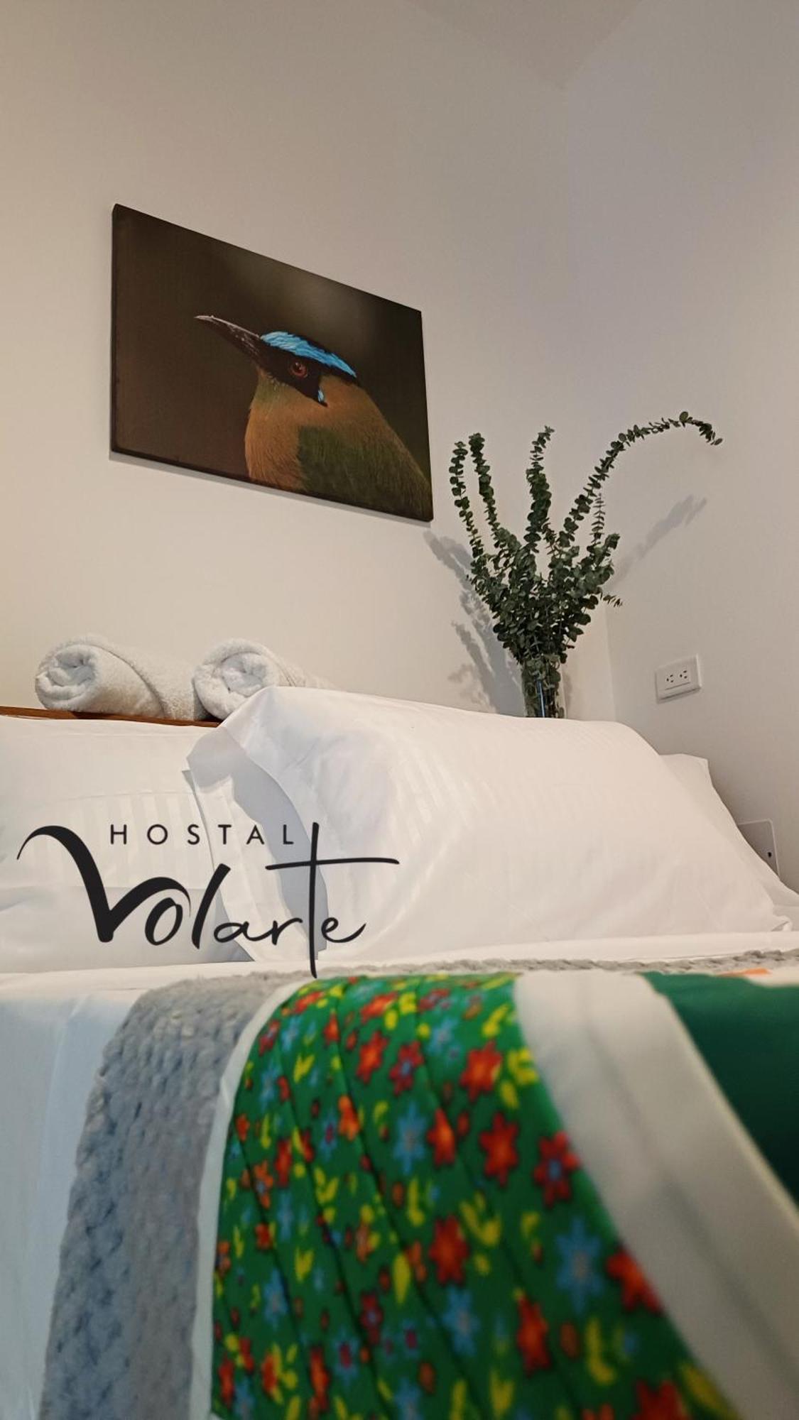 Volarte Hostal Jardin Luaran gambar